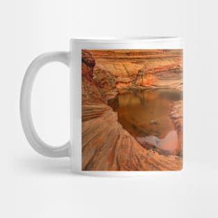 Northern Arizona Desert Oasis Mug